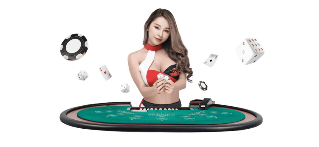 apk3 What We Offer in Baccarat Casino24